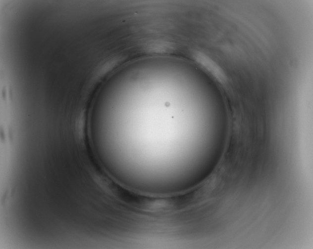 X0000092060058200709262035