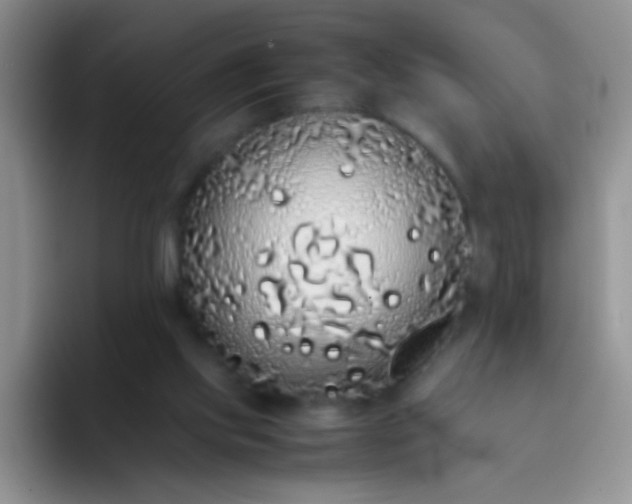 X0000092060061200709262035