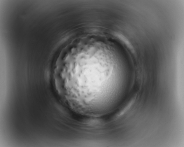 X0000092060063200709262035