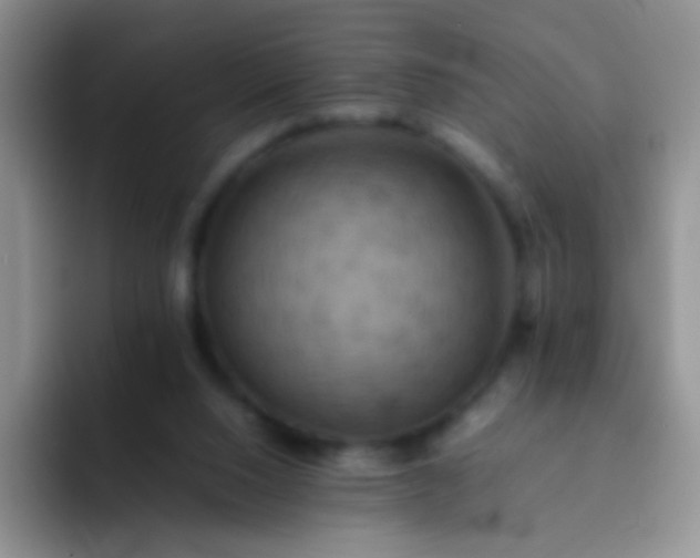 X0000092060064200709262035