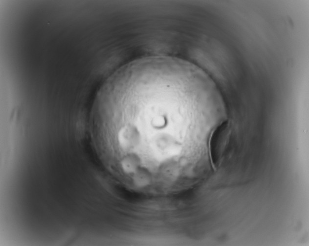 X0000092060065200709262035