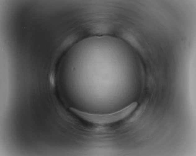 X0000092060068200709262035