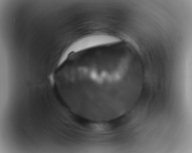 X0000092060069200709262035