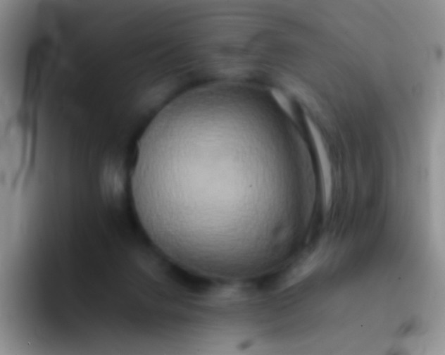 X0000092060072200709262035