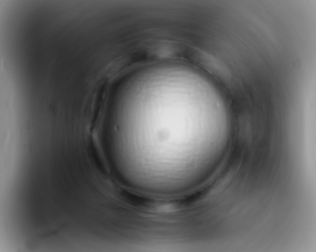 X0000092060073200709262035