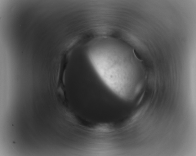 X0000092060076200709262035