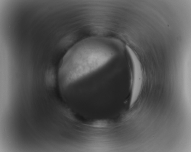 X0000092060080200709262035