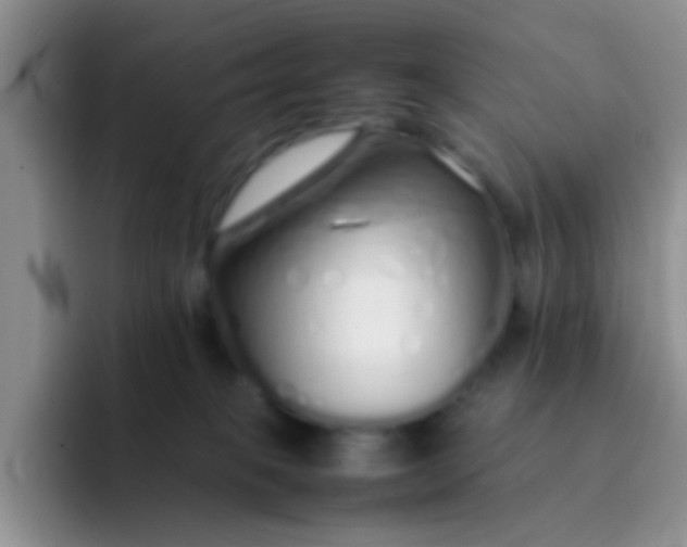 X0000092060085200709262035