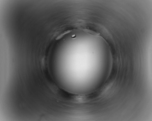 X0000092060088200709262035