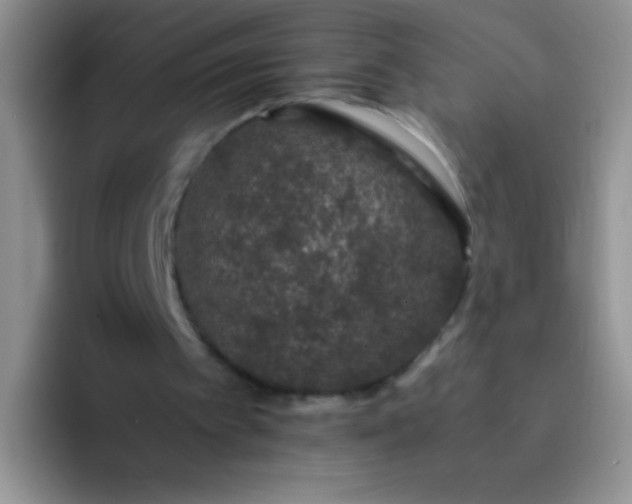 X0000092060097200709262035