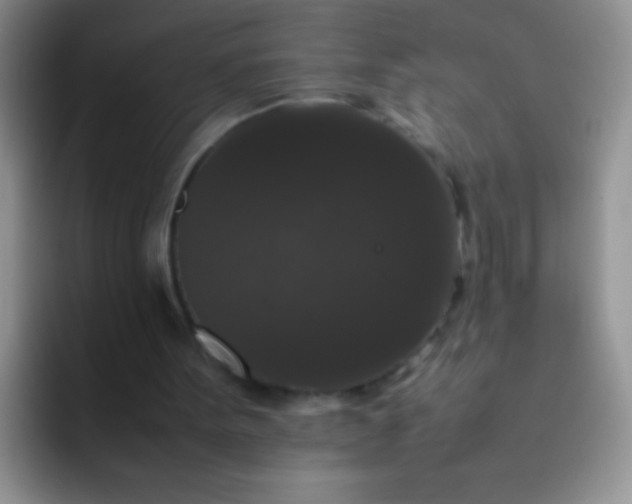 X0000092060099200709262035