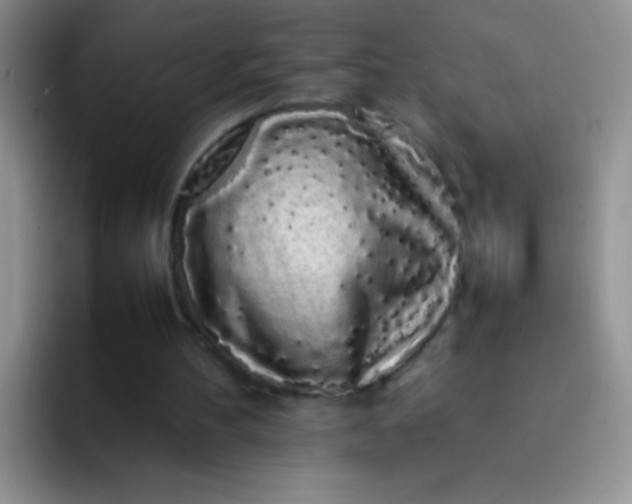 X0000092060100200709262035