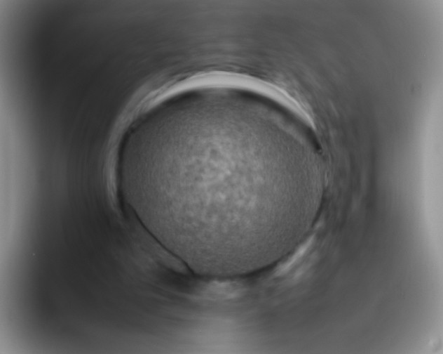 X0000092060101200709262035