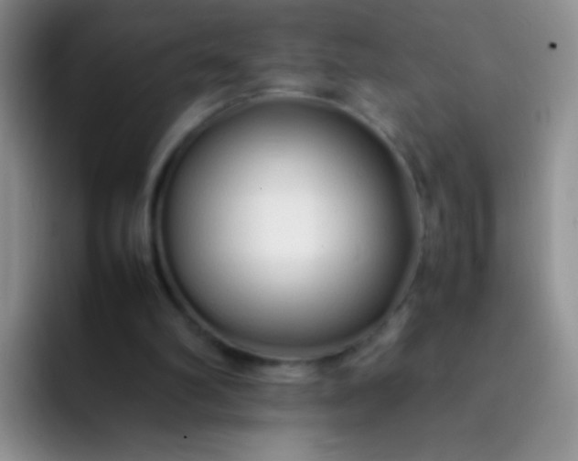 X0000092060102200709262035