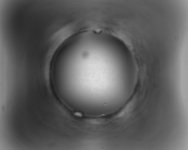 X0000092060103200709262035