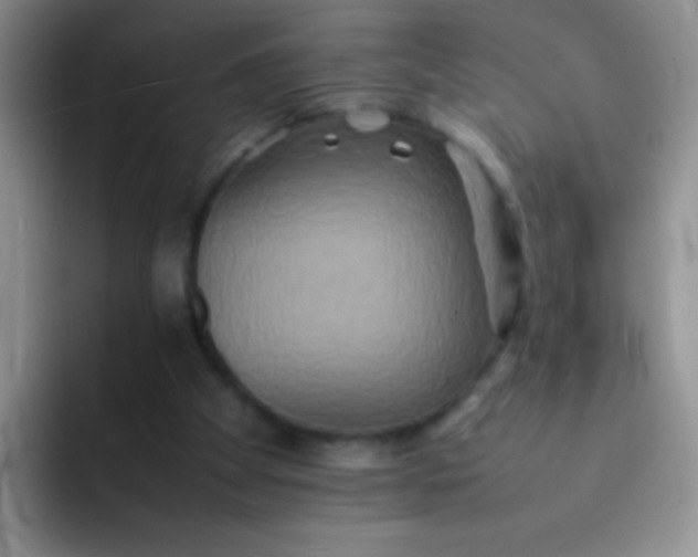 X0000092060105200709262035