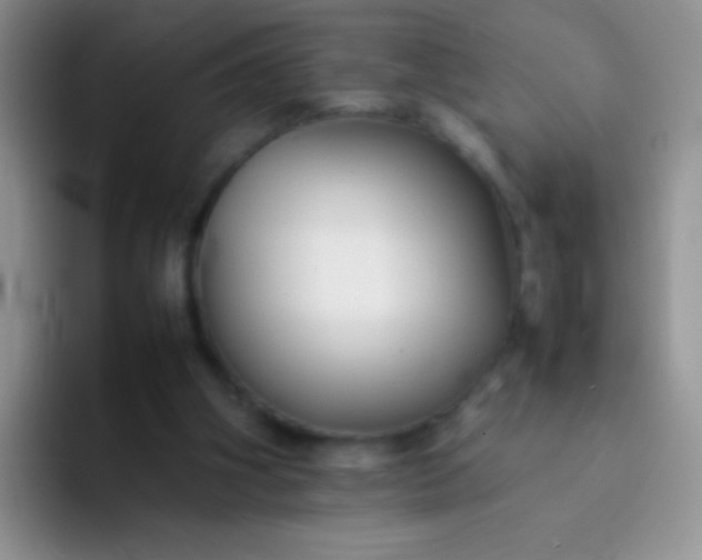 X0000092060106200709262035