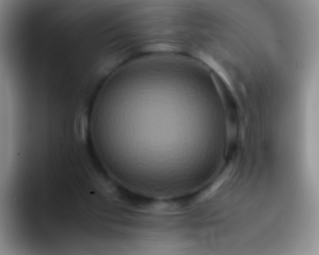 X0000092060109200709262035