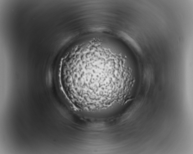 X0000092060110200709262035