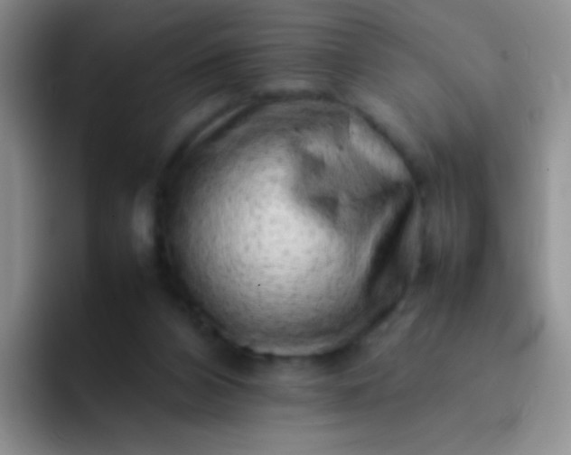 X0000092060112200709262035