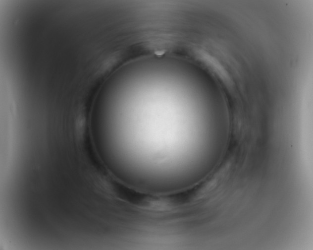 X0000092060113200709262035