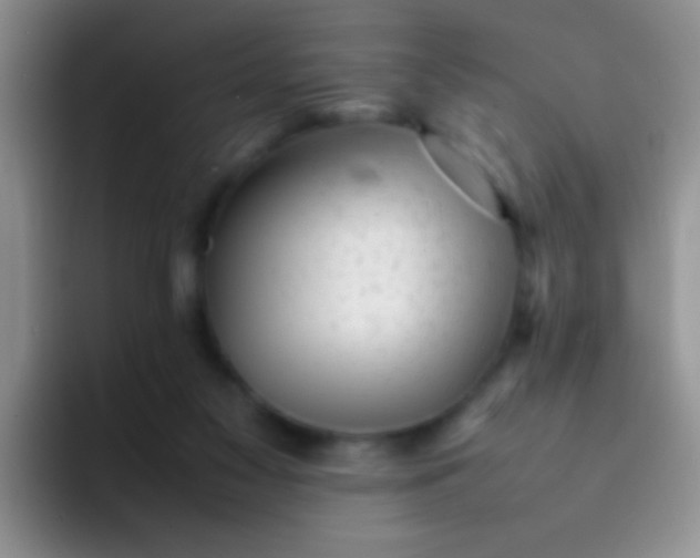 X0000092060117200709262035