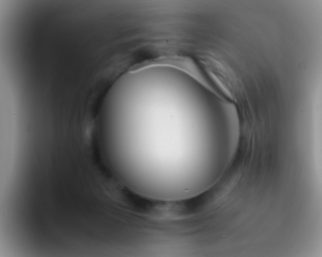 X0000092060125200709262035