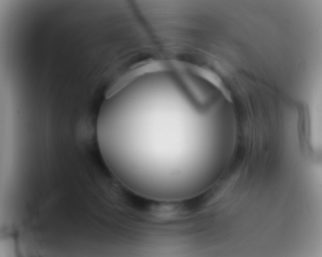 X0000092060129200709262035