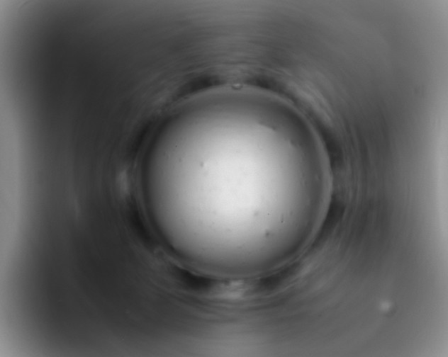 X0000092060131200709262035