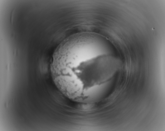 X0000092060134200709262035