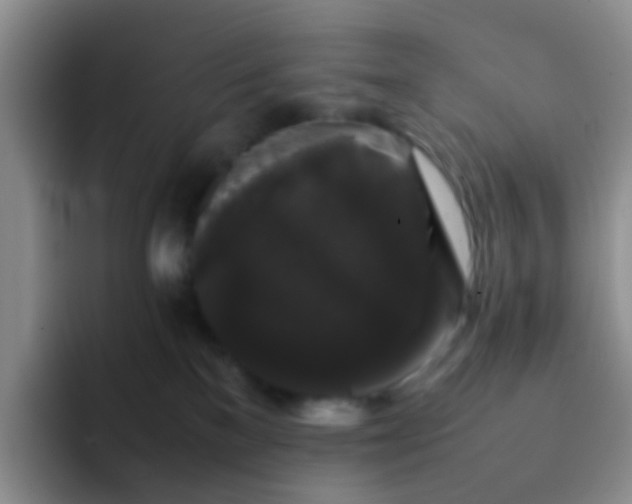 X0000092060137200709262035