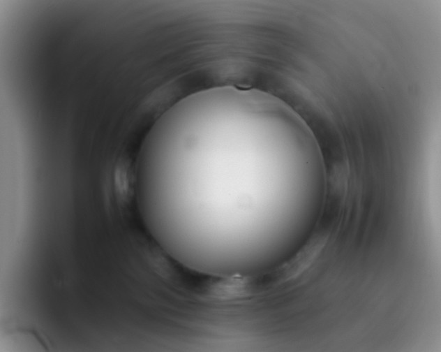 X0000092060138200709262035