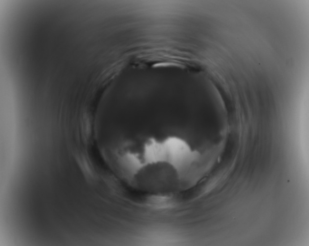 X0000092060139200709262035