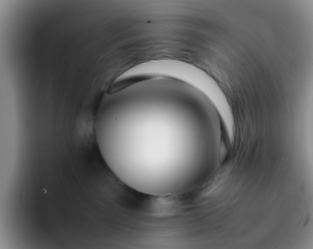 X0000092060141200709262034