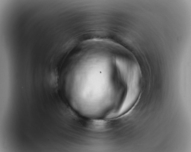 X0000092060144200709262034