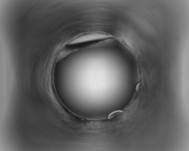 X0000092060145200709262034