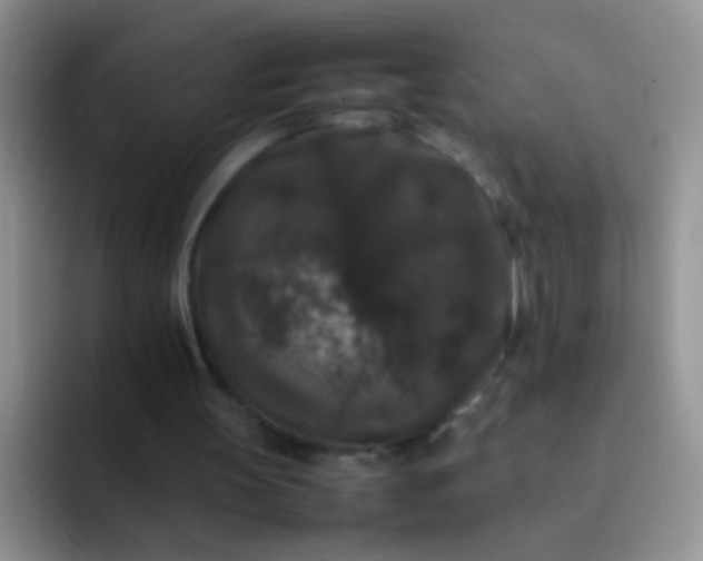 X0000092060147200709262034