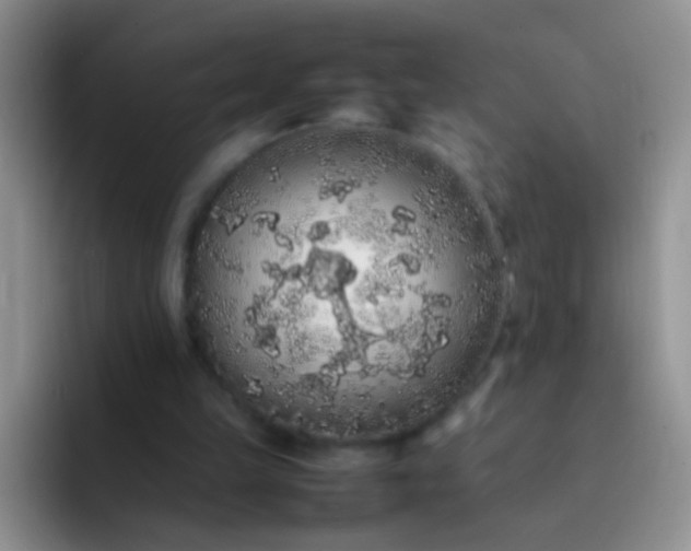 X0000092060149200709262034