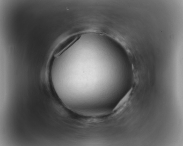 X0000092060152200709262034