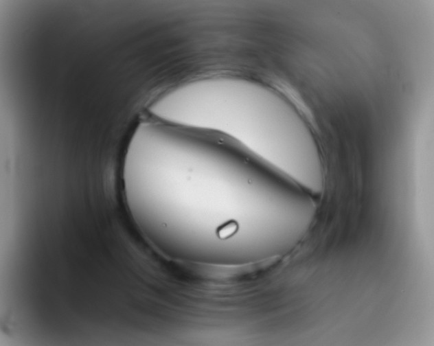 X0000092060154200709262034