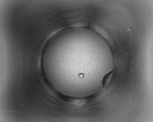 X0000092060155200709262034