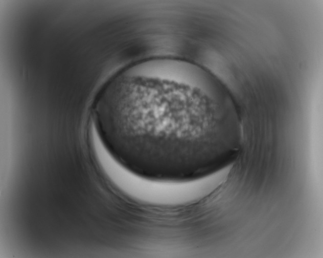 X0000092060156200709262034