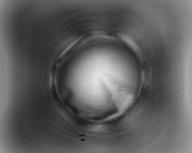 X0000092060157200709262034