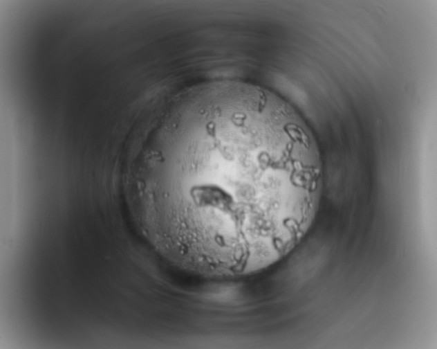 X0000092060161200709262034