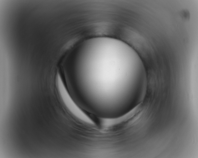 X0000092060164200709262034