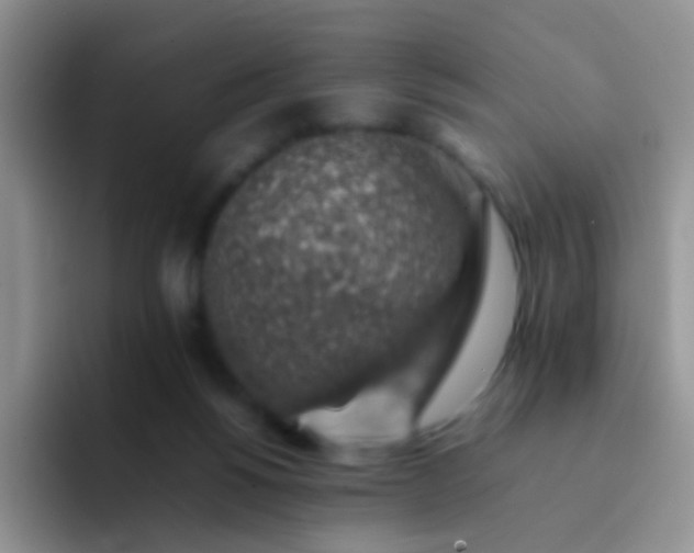 X0000092060168200709262034