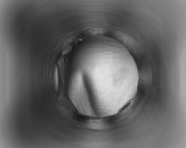 X0000092060170200709262034