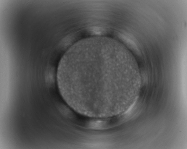 X0000092060174200709262034