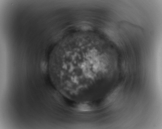 X0000092060177200709262034