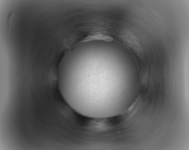 X0000092060179200709262034